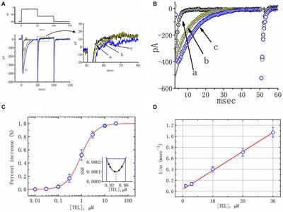 Telmisartan, an Antagonist of Angiotensin II Receptors, Accentuates Voltage-Gated Na+ Currents and Hippocampal Neuronal Excitability